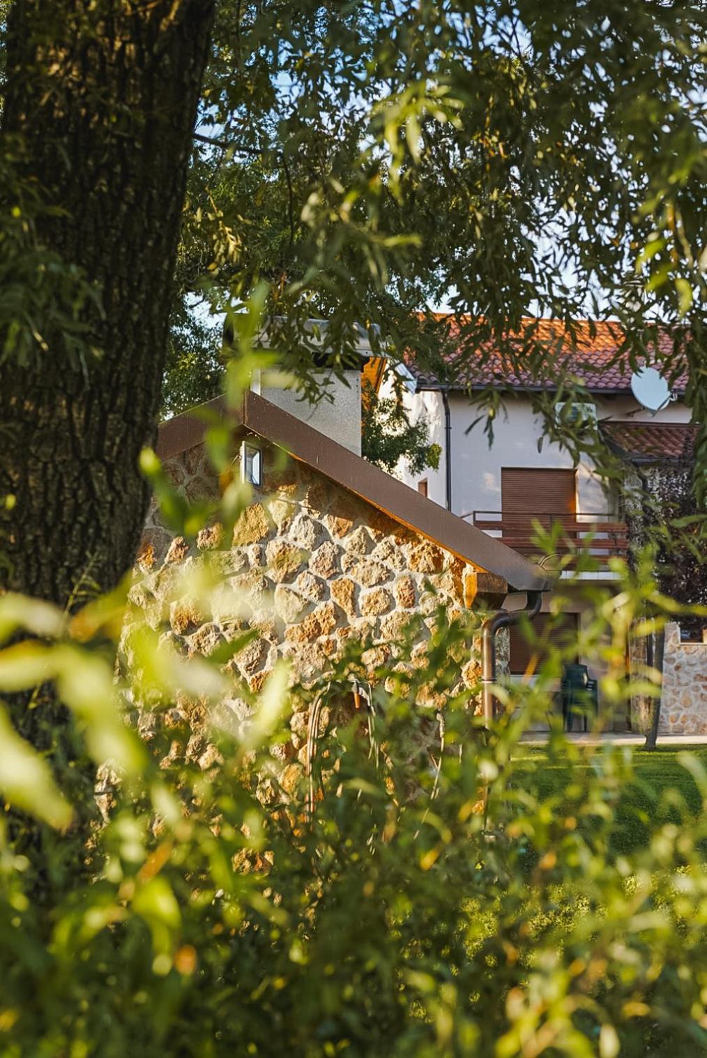 Villa Leko Dream House Cetina Εξωτερικό φωτογραφία